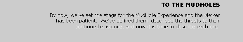 Text Box: TO THE MUDHOLESBy now, we’ve set the stage for the MudHole Experience and the viewer has been patient.  We’ve defined them, described the threats to their continued existence, and now it is time to describe each one.